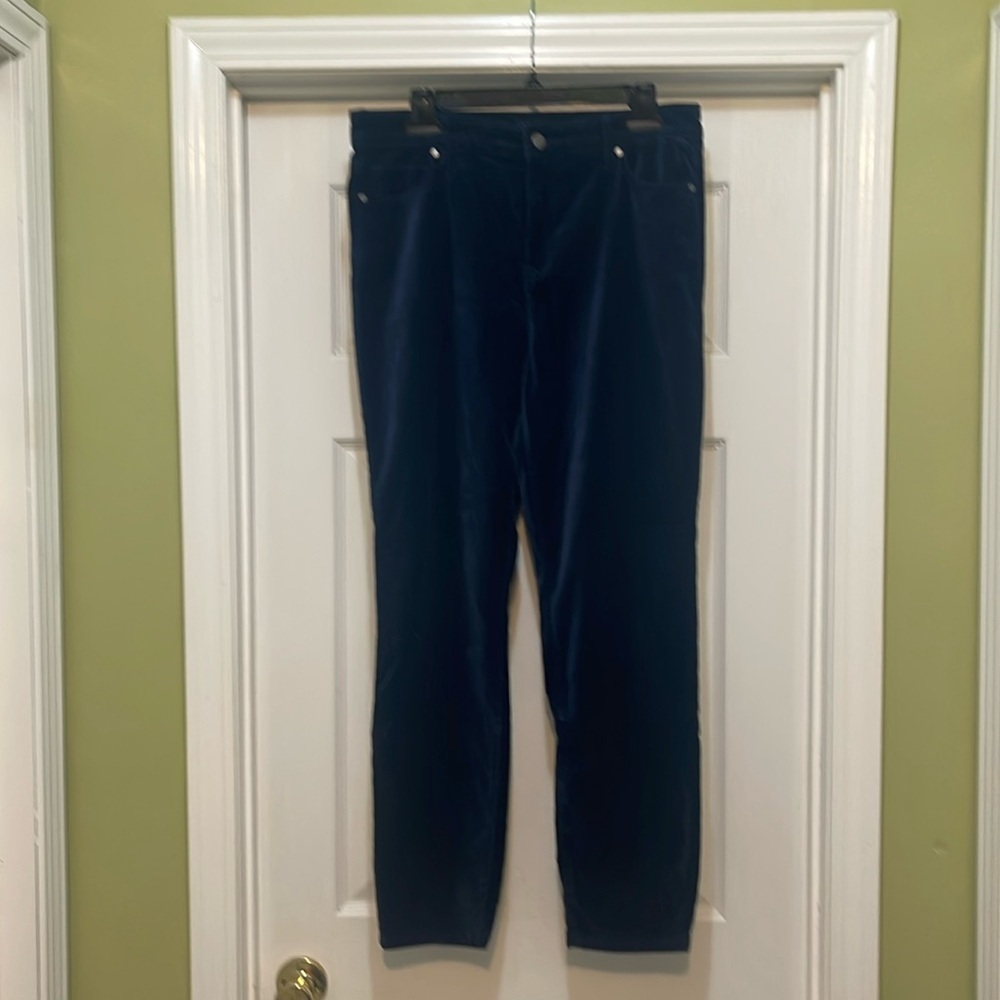 Well Worn - blue velvet jeans style pants - size 10/30
